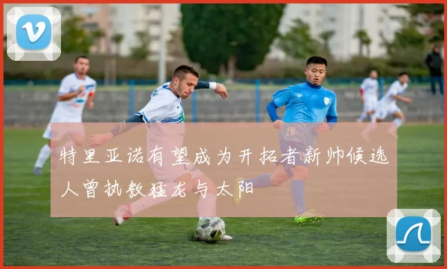 特里亚诺有望成为开拓者新帅候选人曾执教猛龙与太阳